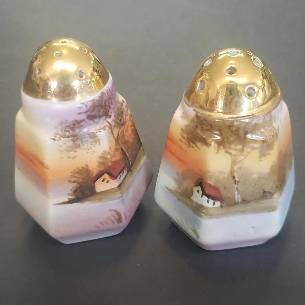 Vintage Made in Japan Handpainted Salt and Pepper Shakers